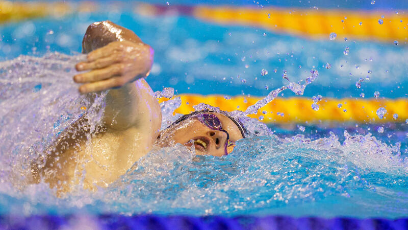 Österreichische Schwimmer greifen im WM-Becken Olympia an