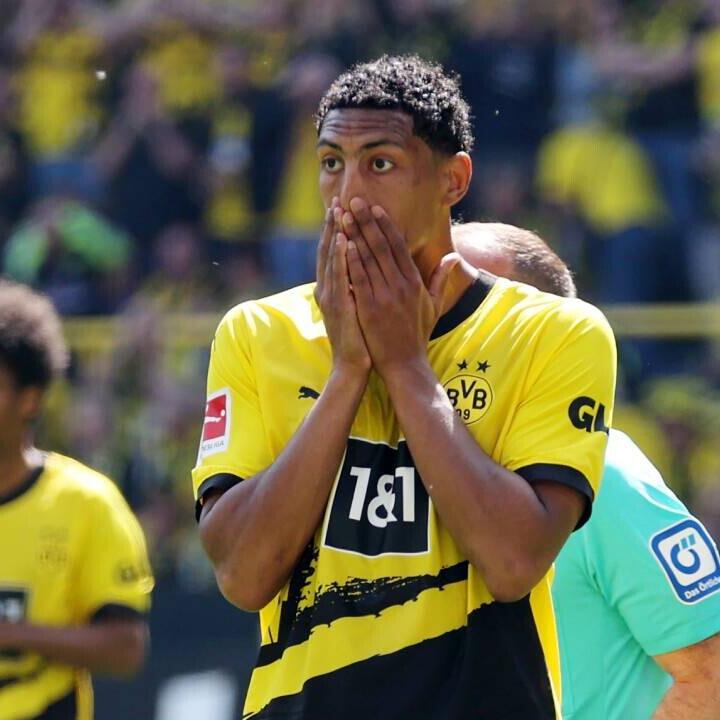 "Hat das Toreschießen nicht verlernt": BVB bekräftigt Haller