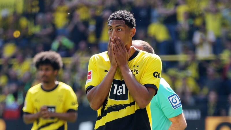 "Hat das Toreschießen nicht verlernt": BVB bekräftigt Haller