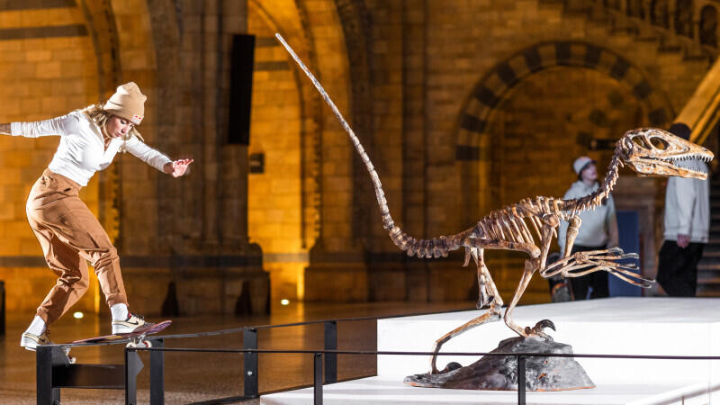 Skate the Museum - ungewöhnliche Bilder mit Naturgeschichte