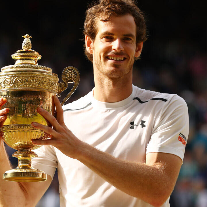 Wimbledon-Sieger auf einen Blick