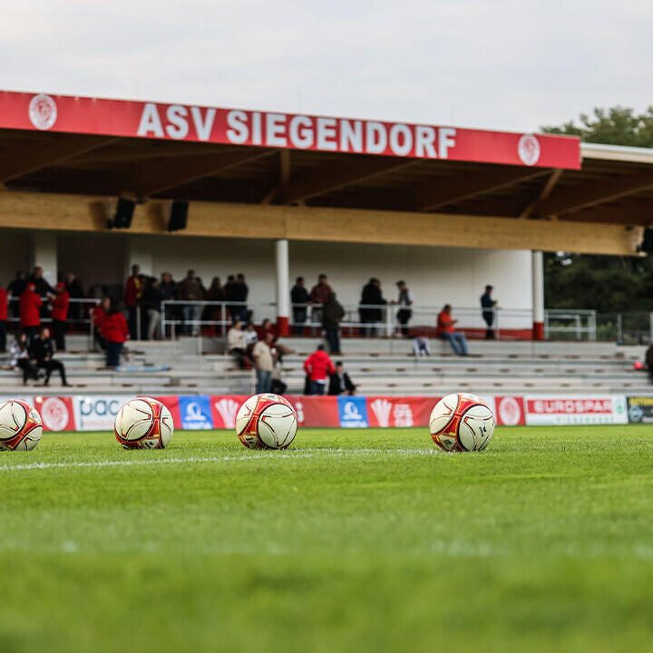 Ex-Ried-Trainer zieht es zu Ostliga-Absteiger