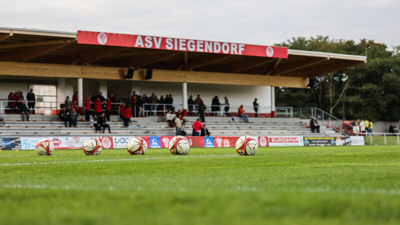 Ex-Ried-Trainer zieht es zu Ostliga-Absteiger