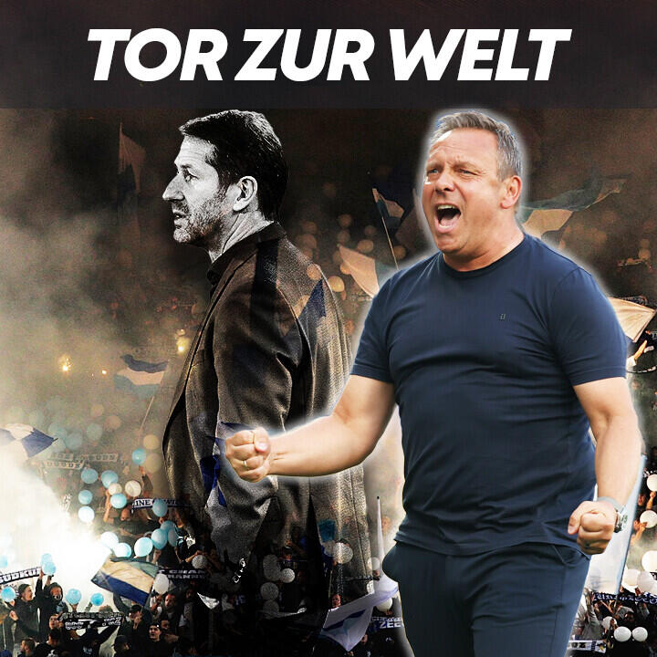 Das verrückte Jahr des FC Zürich