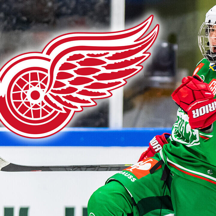 Das erwartet Marco Kasper bei Detroit Red Wings