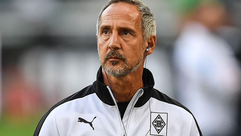 ADI HÜTTER (<a href='/de/daten/news/fussball/borussia-moenchengladbach/' class='tag'>Borussia Mönchengladbach</a>)