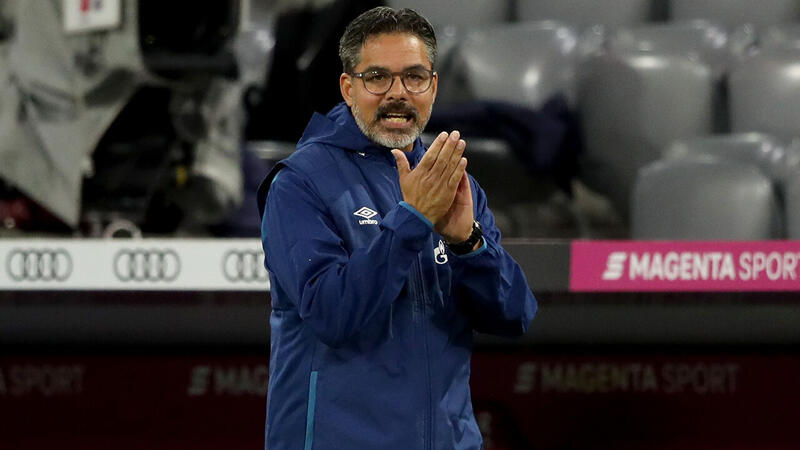 Young Boys holen David Wagner